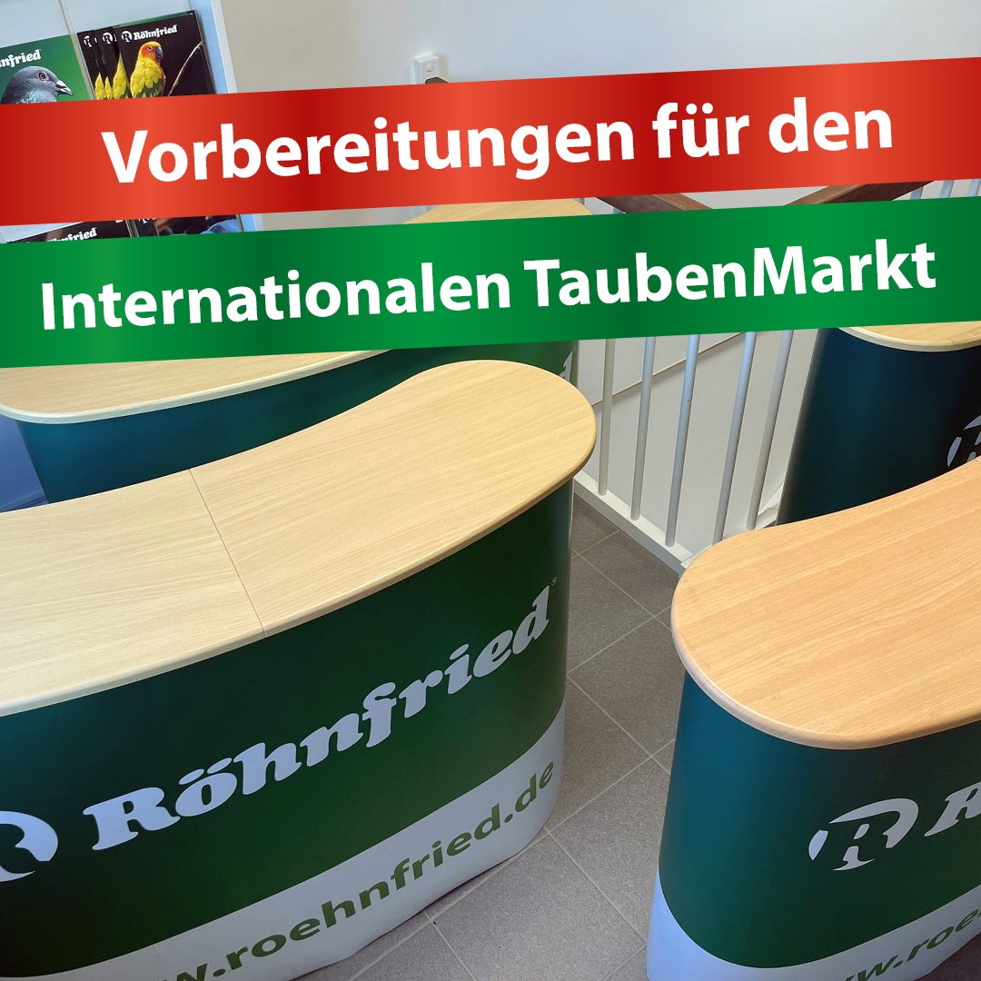 Vorbereitungen_TaubenMarkt_DE.jpg